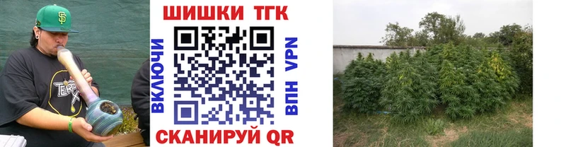 Канабис Amnesia  Людиново 